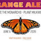 ORANGE ALERT: Save the Monarchs