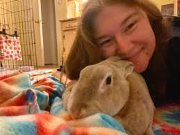 I took Batman for a nail trim today. I think I should probably watch my  back tonight 😅