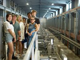 Maybe you would like to learn more about one of these? Students Study New Orleans Rich Life And Tenuous Landscape High Meadows Environmental Institute