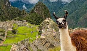 Machu picchu, nazca, the amazon. Freiwilligenarbeit In Peru Top 10 Hilfsprojekte 2021 Volunteer World