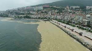Müsilaj, hemen hemen tüm bitkiler ve bazı mikroorganizmalar tarafından üretilen kalın, yapışkan bir maddedir. Mtozcwy 8rk05m