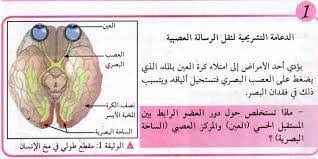 يوفر النظام لمشرف الرسالة مدخل خاص يمكن من خلاله عرض الطلاب المشرف عليهم والتواصل معهم من داخل النظام. Ø¯Ø±Ø³ Ø§Ù„Ø±Ø³Ø§Ù„Ø© Ø§Ù„Ø¹ØµØ¨ÙŠØ© ÙƒÙŠÙ Ø¹Ù„ÙˆÙ… Ø·Ø¨ÙŠØ¹ÙŠØ© Ù„Ù„Ø³Ù†Ø© Ø§Ù„Ø±Ø§Ø¨Ø¹Ø© Ù…ØªÙˆØ³Ø· ÙÙŠØ³Ø¨ÙˆÙƒ