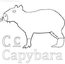 Easy Capybara Coloring Pages Free Coloring Sheets
