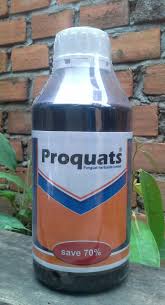 Racun rumput sebenarnya racun untuk tanaman selain rumput juga atau biasa disebut dengan herbisida. Proquats Penguat Racun Rumput Kontak Mari Berkebun