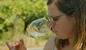 Domaine Raphaël Luneau in Muscadet