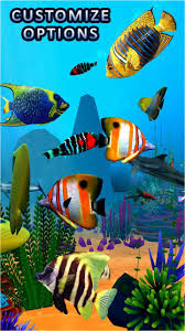 Download, share or upload your own one! Aquarium Fish Wallpaper 3d Live Fish Backgrounds For Android Apk Download