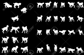 Free Free 313 Svg Jumping Baby Goat Silhouette SVG PNG EPS DXF File