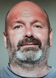 N.Y. man faces charges for killing puppies found in Revere