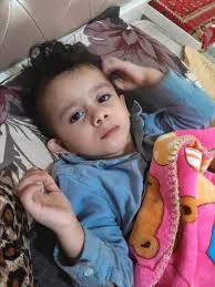 🌿 Help Us Find Peace Amid The Chaos 🌿