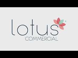 Fill your cart with color · returns made easy · ebay plus Kitchen Exhaust System Cleaning Maintenance Lotus Commercial
