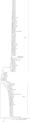 Toate articolele cu referire la subiectul 'oug nr. Genetic Diversity Of Streptococcus Equi Subsp Zooepidemicus Isolated From Horses Sciencedirect
