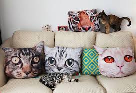 Colorful Home Designs As Play House Kirlent Cilgin Disi Kedi Minder