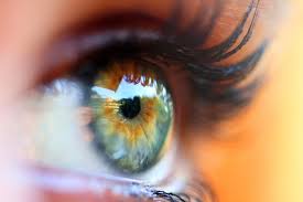 The eyes are the window to the body and your optician could play a crucial  role - Miriam Stoppard - Irish Mirror Online