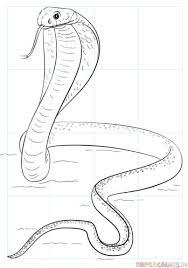 How To Draw A King Cobra Step By Step. Drawing Tutorials For Kids And  Beginners. | Snake Drawing, Drawing Tutorials For Kids, Cobra Art