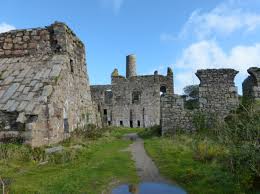 Image result for Wheal