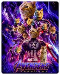 Goose Cat Avengers Avengersendgame Avengers Pictures Marvel Images Avengers Funny