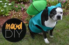 Mood Diy Bulbasaur Dog Halloween Costume Mood Sewciety Dog Halloween Costumes Pokemon Halloween Costume Pet Halloween Costumes
