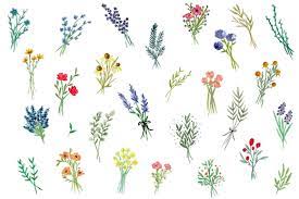 We did not find results for: Garden Bouquets Clip Art Small Flower Drawings Watercolor Tattoo Flower Flower Drawing