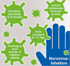 Eine ansteckung ist durch den direkten kontakt mit am norovirus erkrankten menschen beispielsweise durch händeschütteln oder. Noroviren Infos Zur Norovirus Infektion Praxisdienst