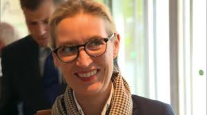 She has been a member of the bundestag (mdb) since the 2017 federal election during which she was the afd's lead candidate together with alexander gauland. Rassistische E Mail Afd Spitzenkandidatin Alice Weidel Spricht Nicht Mehr Von Falschung Youtube