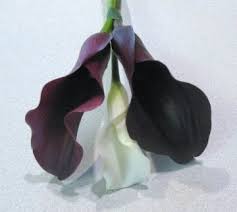 Here are some more examples of silk / artificial calla lily wedding bouquets.�all bouquets and flower arrangements are custom made to match your wedding colours and theme with a variety of sizes and styles to meet your expectations. Calla Lily Bridal Bouquet Easy Diy Wedding Flower Tutorials