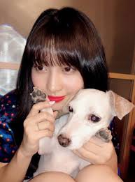 Conheça os pets do TWICE