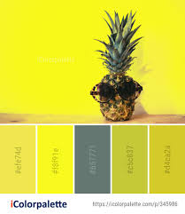 This color combination was created by user schemecolor. 860 Fruit Color Palette Ideas In 2021 Icolorpalette
