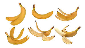 Banana Png Transparent Onlygfx Com Banana png you can download 33 free banana png images. banana png transparent onlygfx com