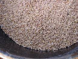 Feeding Oats To Horses The Whole Picture The Feed Room