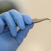 To find the width of a human hair, start by taping your hair into a small cardboard frame. 1