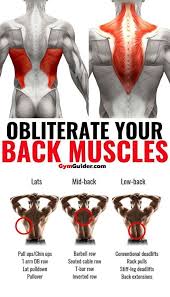 Build Thick And Wide Back With This Workout Program Gym