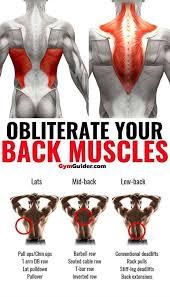 build thick and wide back with this workout program gym