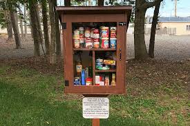 Focus on direct service not spreadsheets. Local Eagle Scout S Free Little Pantry Helps People In Need