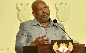 In an affidavit, in which sambo called herself thandeka mabuza, a niece to the deputy president, she claimed that while helping at mabuza's house in johannesburg on november 5 2018, she stumbled. Mabuza Appointment As Eskom Head To Ensure Continuity Public Enterprises Kzn Durban Accommodation Dining Out Family Whats On Shopping Health And Beauty Garden And Home Family Activities
