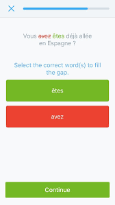 Can Someone Explain This To Me Please French