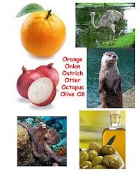 A person who places expediency above principle. Resource Pictures Of Objects Start With Letters A To Z Learn The Fun Way Lettering Montessori Toddler Activities Toddler Activities