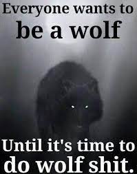 Dann stirbt der einsame wolf, aber das rudel überlebt. Pin On All Types Of Funny Pictures Funny Memes Funny Jokes