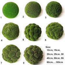 We offer fashion and quality at the best price in a more sustainable way. China Variety Kinds Of Factory Direct Wholesale Artificial Moss Ball For Indoor Decoration China Artificial Moss Ball And Wholesale Artificial Moss Ball Price