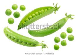 Image result for Pisum