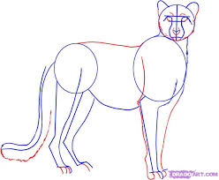 How To Draw A Cheetah Step By Step Safari Animals Animals Free Online Drawing Tutorial Added By Dawn October 22 Drawings Drawing Tutorial Online Drawing