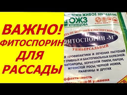 посадка цветов на рассаду в марте по лунному календарю Vyrashivanie Tomatov Shpargalka Na Leto Youtube Sadovodstvo Vyrashivanie Tomatov Sadovye Idei