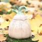 Intro to Pottery: Clay Pumpkins event image