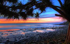 Choose from a curated selection of laptop wallpapers for your mobile and desktop screens. 67 Laptop Backgrounds Wallpapers On Wallpapersafari