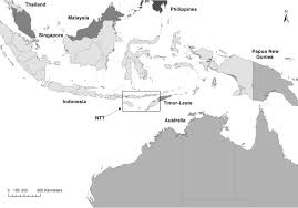 Film terbaru indoxxi nonton movie sub indo. Analysis Of Pig Movements Across Eastern Indonesia 2009 2010 Sciencedirect