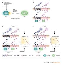 Functions of the brain stem. The State Of Gpcr Research In 2004 Nature Reviews Drug Discovery