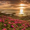 Crossing the pacific, landfall is made at marin county. Https Encrypted Tbn0 Gstatic Com Images Q Tbn And9gcqv5pqicyeqmhegksloivzchuz9gnwfenwtgliandlr3kbkjnqx Usqp Cau