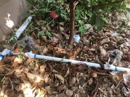 It is possible to overwinter fruit trees in many cool feed and water correctly. Diy Irrigation System For Fruit Trees Garden Of Luma