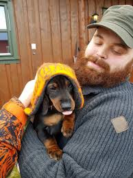 Nord-Trøndelag Dachshundklubb