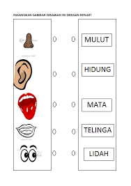 Materi tanaman untuk anak paud. Materi Pelajaran Anak Paud Download