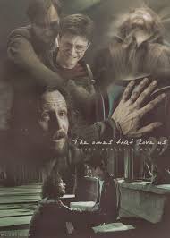 The Ones That Love Us Never Really Leave Us Sirius Black Sirius Harry Potter Dumbledore Harry Potter Love Harry Potter Universal